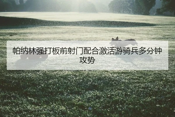 pa-na-lin-qiang-da-ban-qian-she-men-pei-he-ji-huo-you-qi-bing-duo-fen-zhong-gong-shi-2-342.jpg